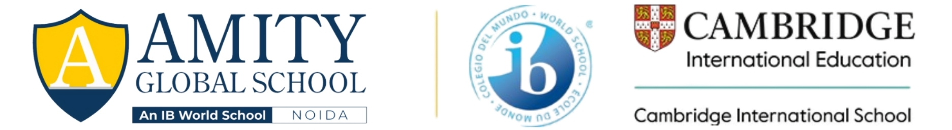 Amity Schools - Noida